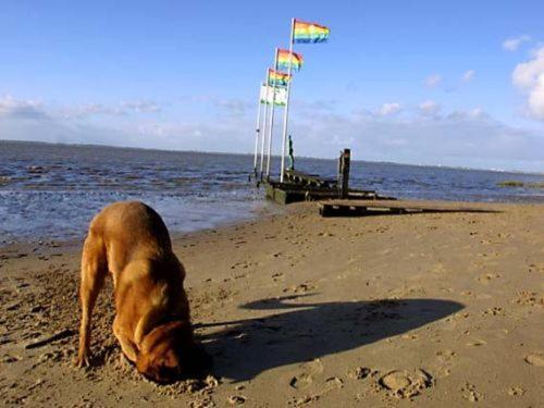 Ferienhaus Cordes, Fewo Vermittlung Nordsee Dangastermoor 外观 照片